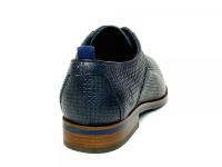 36BRED_Wave_moliere_